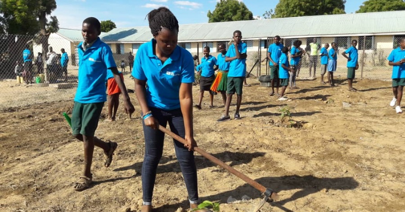 community cleaning